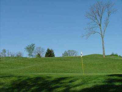 View of golf course green